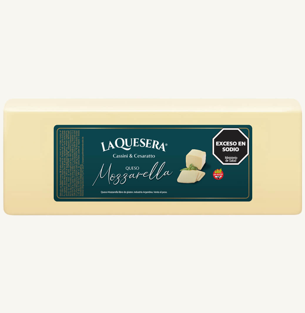 queso-barra-mozzarella